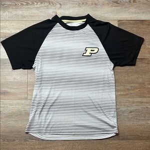 Champion Black and White Striped Men's Tee